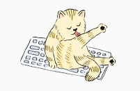 cat cleaning self on keyboard